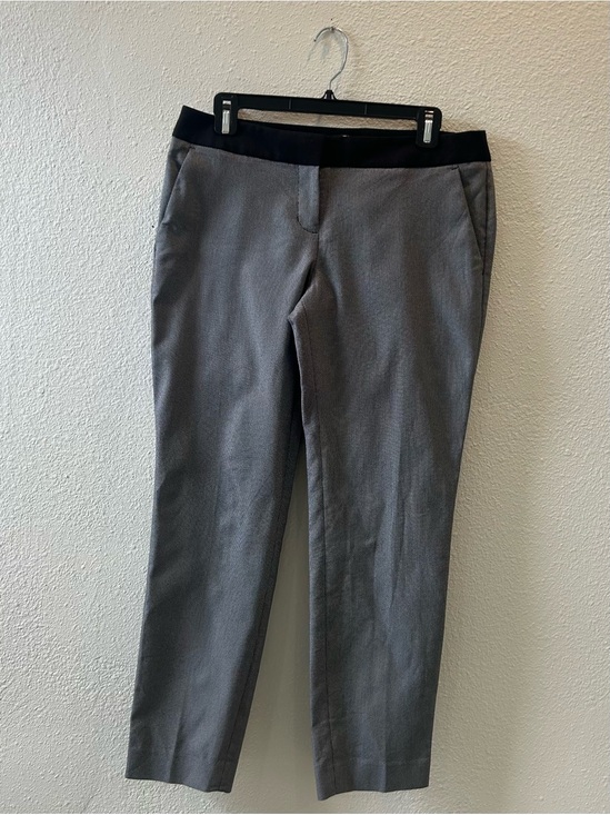 Express Pants - Express Gray Pants with Black Waistband
